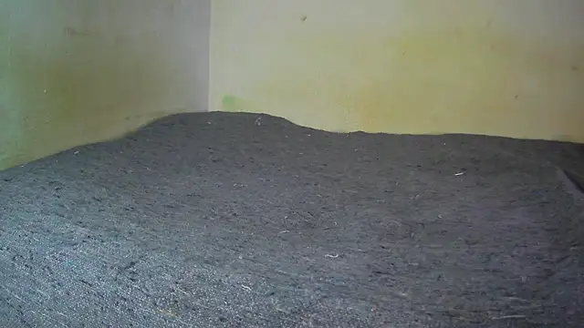 Snapshot of fern_tlk chatting on 17, 12, 2024 fern tlk online show from 17, 12, 2024