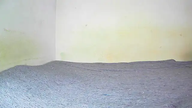 Snapshot of fern_tlk chatting on 19, 1, 2025 fern tlk online show from 19, 1, 2025