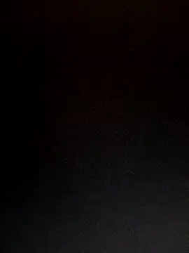 Snapshot of lisa_larry88 chatting on 13, 11, 2025 lisa larry88 online show from 13, 11, 2025