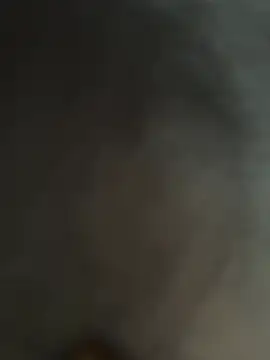 Snapshot of Fairy-HF chatting on 17, 2, 2026 Fairy-HF online show from 17, 2, 2026