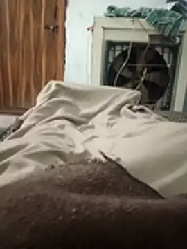 pintuS40 online show from 31, 10, 2025