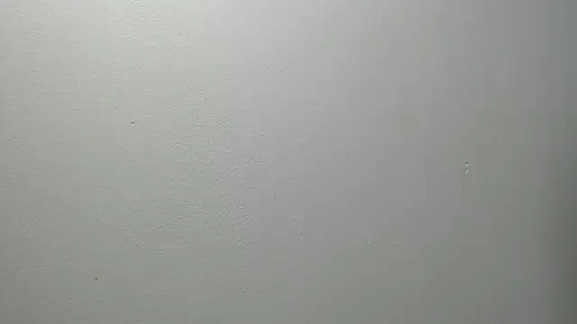 sussy leon online show from 27, 2, 2025