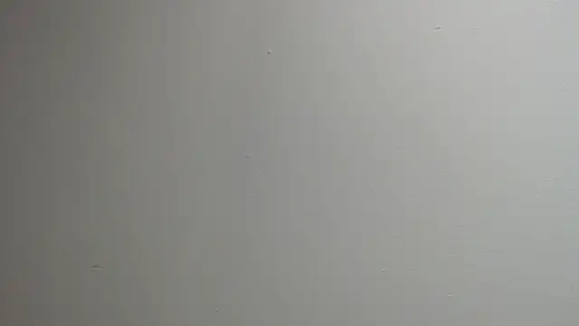 sussy leon online show from 13, 3, 2025