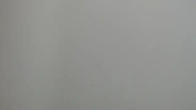 sussy leon online show from 18, 3, 2025