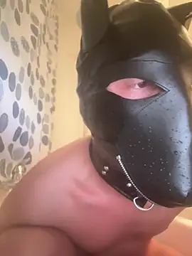 Snapshot of PlayDog123 chatting on 6, 3, 2025 PlayDog123 online show from 6, 3, 2025