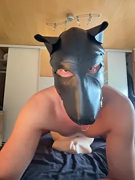 Snapshot of PlayDog123 chatting on 16, 10, 2025 PlayDog123 online show from 16, 10, 2025