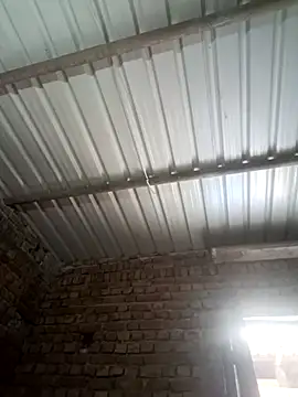 Shubu 76 online show from 15, 9, 2025