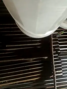 Huebolocko online show from 10, 2, 2025