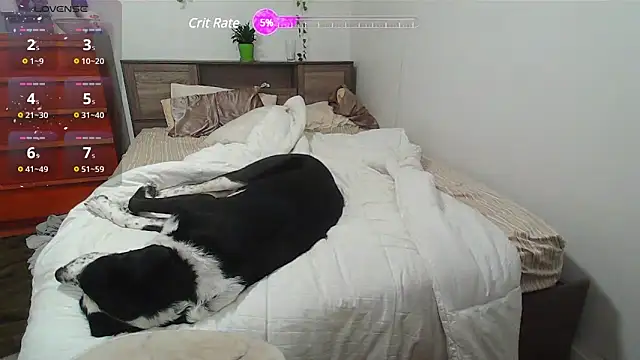 Snapshot of Kittyymaze1 chatting on 25, 2, 2025 Kittyymaze1 online show from 25, 2, 2025