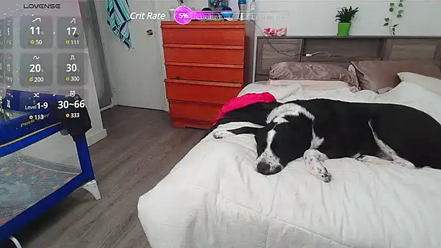 Snapshot of Kittyymaze1 chatting on 2, 3, 2025 Kittyymaze1 online show from 2, 3, 2025