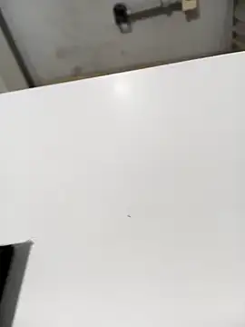 lobomisterioso13 online show from 16, 12, 2024