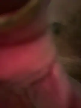 A-mira online show from 2, 3, 2026