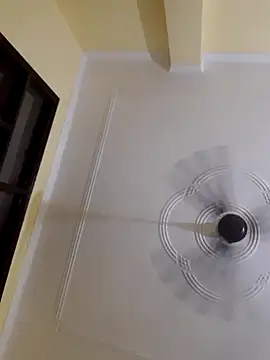 wasu3322 online show from 16, 4, 2026