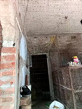 Snapshot of NICK_IN chatting on 24, 2, 2025 NICK IN online show from 24, 2, 2025