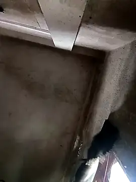 Snapshot of NICK_IN chatting on 30, 10, 2025 NICK IN online show from 30, 10, 2025