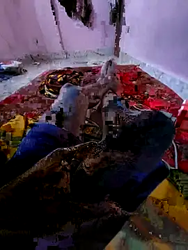 Snapshot of Ssdhaka11 chatting on 6, 11, 2025 Ssdhaka11 online show from 6, 11, 2025