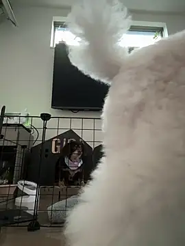 kensnb online show from 8, 3, 2025