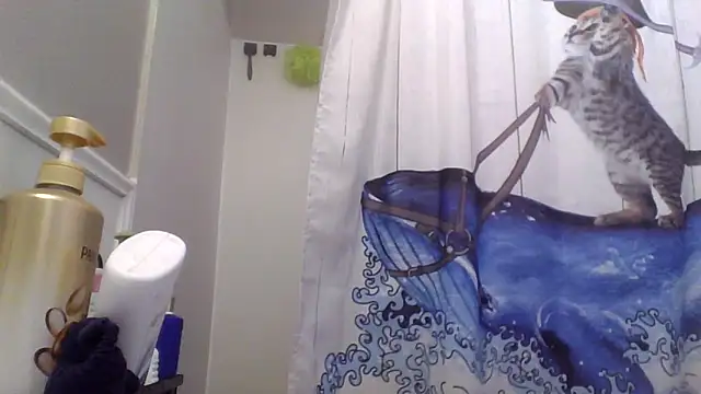 clitstitsandbongrips online show from 25, 11, 2025