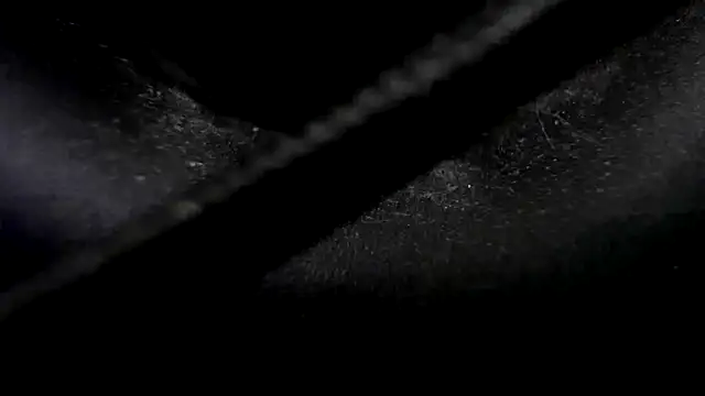 Snapshot of Niquitasparkles chatting on 23, 1, 2025 Niquitasparkles online show from 23, 1, 2025