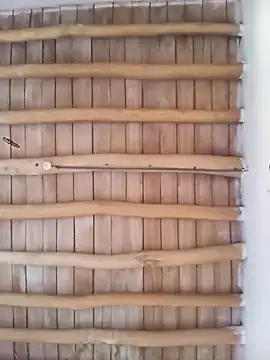 Atabey 65 online show from 3, 12, 2025