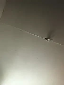 Ozomitro online show from 25, 10, 2025