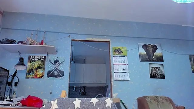 teddy alan online show from 26, 1, 2025