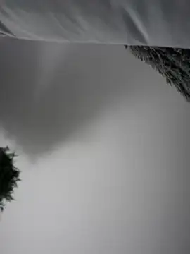 Aryrosee online show from 3, 1, 2025