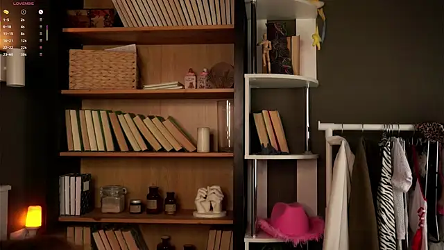 Snapshot of DarylBarks chatting on 4, 11, 2025 DarylBarks online show from 4, 11, 2025