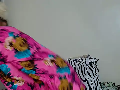 Petit haris online show from 24, 5, 2026