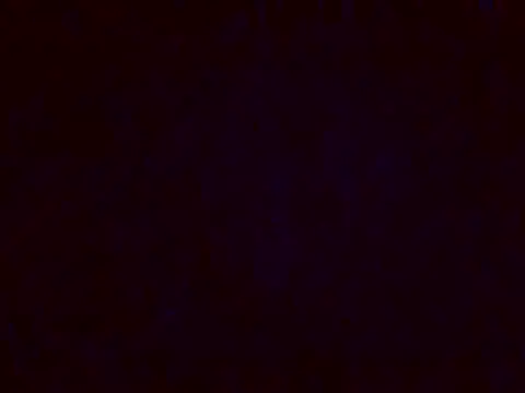 jellydicks online show from 17, 12, 2024