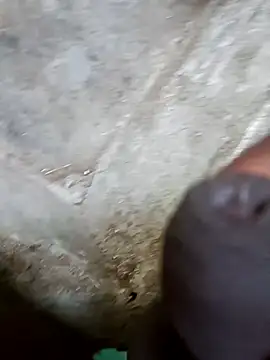 jellydicks online show from 29, 12, 2024