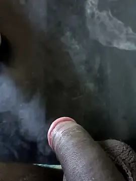 jellydicks online show from 19, 1, 2025