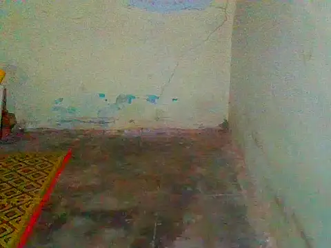 jellydicks online show from 11, 2, 2025