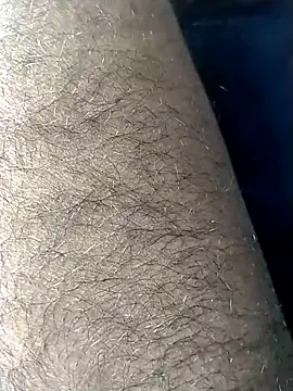 jellydicks online show from 15, 2, 2026