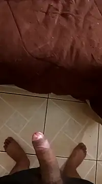 pedritolobito online show from 30, 12, 2024