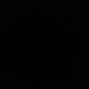 SteadyTientsin online show from 3, 12, 2025