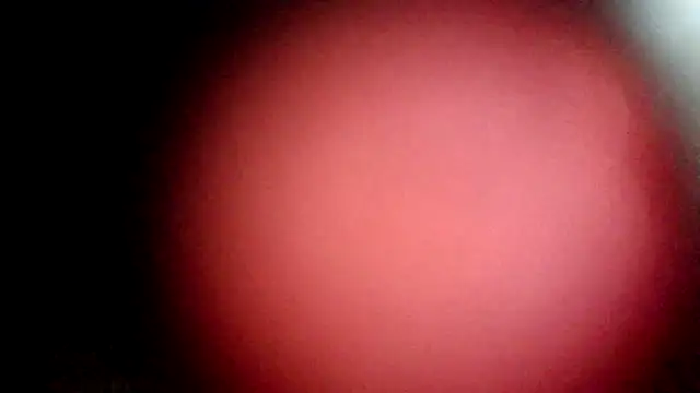 modenq online show from 20, 3, 2026