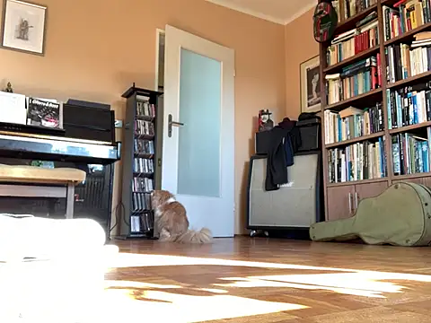 Bula94193 online show from 16, 3, 2026