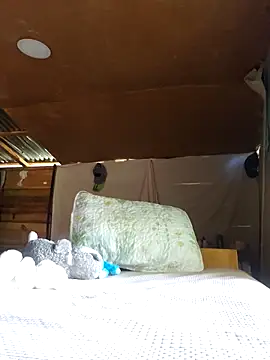 jose5320 20 online show from 16, 9, 2025