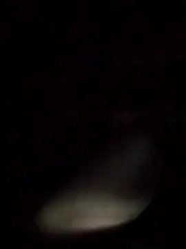 axelongshaft69 online show from 9, 3, 2026