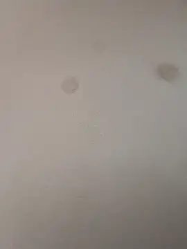 geilerschwanz64 online show from 9, 1, 2025