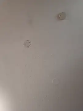 geilerschwanz64 online show from 18, 1, 2025