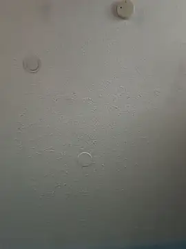 geilerschwanz64 online show from 3, 2, 2025