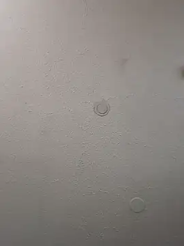 geilerschwanz64 online show from 11, 2, 2025