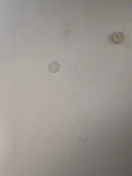 geilerschwanz64 online show from 21, 2, 2025