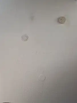 geilerschwanz64 online show from 12, 3, 2025