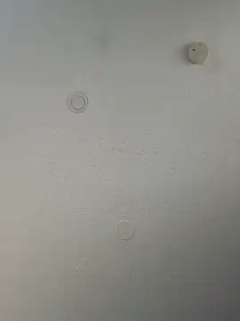 geilerschwanz64 online show from 20, 3, 2025