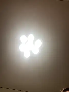 Janet Welder online show from 7, 12, 2024