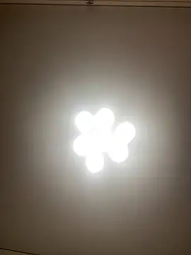 Janet Welder online show from 10, 12, 2024