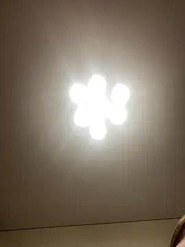 Janet Welder online show from 16, 12, 2024